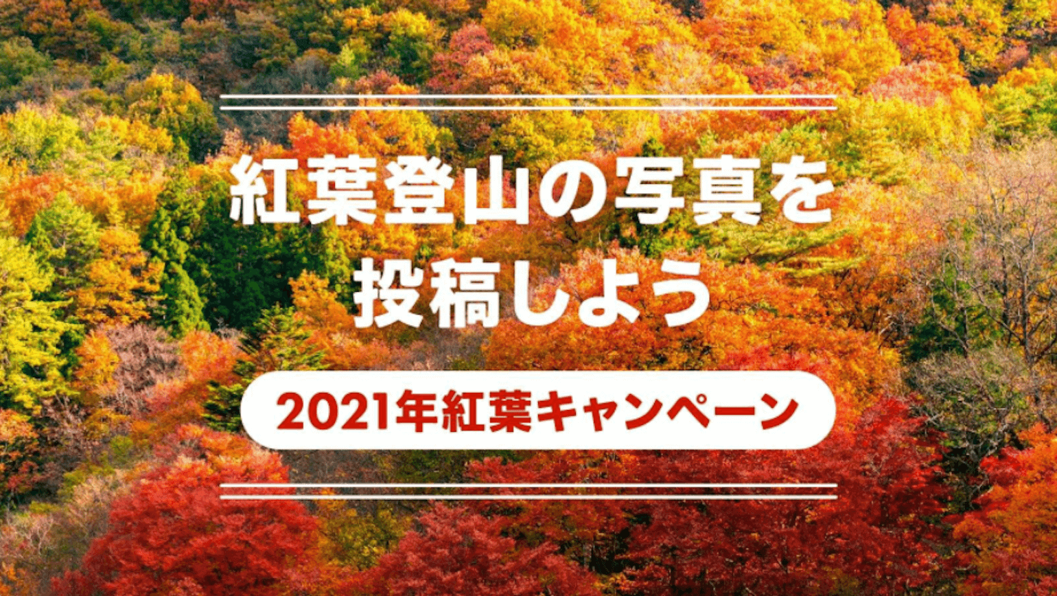 今 紅葉している山が分かる！ YAMAPリアルタイム紅葉モニター2021 