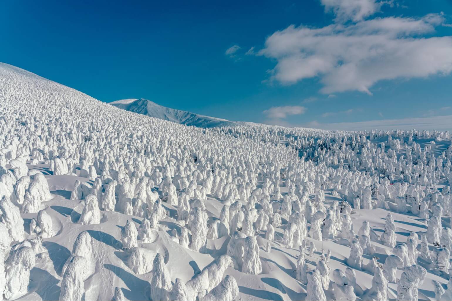 神秘的な蔵王 スノーモンスター 樹氷 の絶景 プロ写真家 横田裕市が晴れ間を狙って関東からの 日帰り ハイク Yamap Magazine 神秘的な蔵王 スノーモンスター 樹氷 の絶景 プロ写真家 横田裕市が晴れ間を狙って関東からの 日帰り ハイク Yamap Magazine