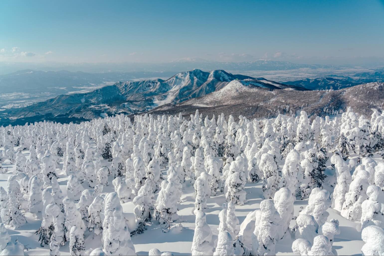 神秘的な蔵王 スノーモンスター 樹氷 の絶景 プロ写真家 横田裕市が晴れ間を狙って関東からの 日帰り ハイク Yamap Magazine 神秘的な蔵王 スノーモンスター 樹氷 の絶景 プロ写真家 横田裕市が晴れ間を狙って関東からの 日帰り ハイク Yamap Magazine